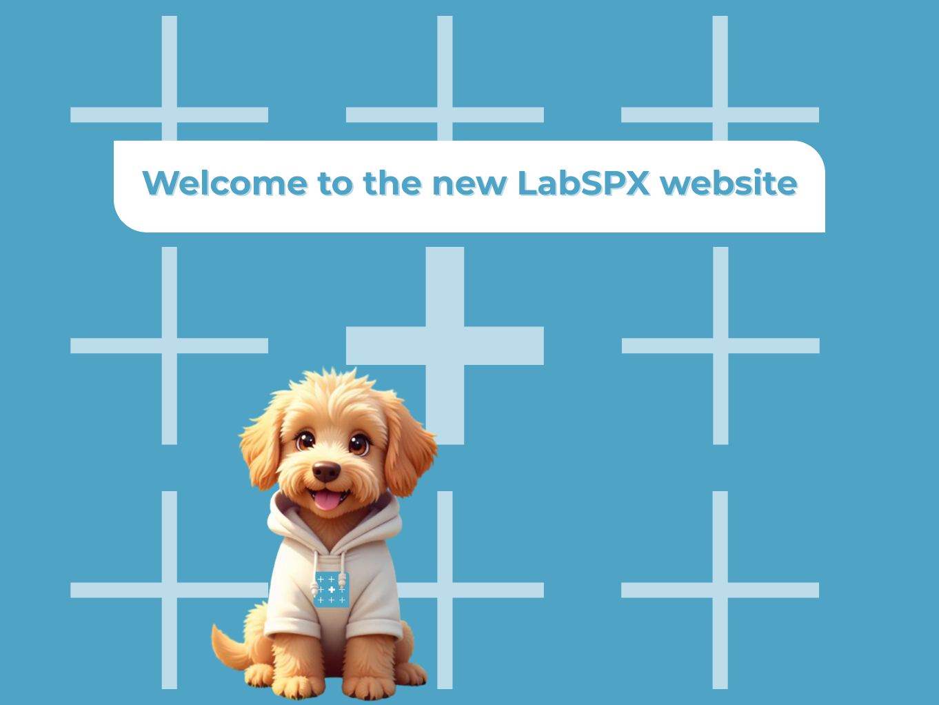 Welcome to the new LabSPX website